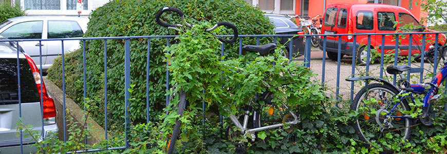 Zugewachsenes Fahrrad lehnt an Geländer